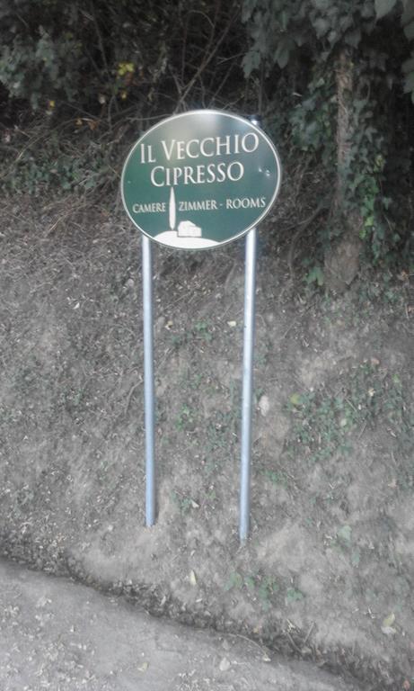 Il Vecchio Cipresso Apartamento San Gimignano Exterior foto