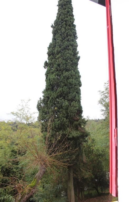 Il Vecchio Cipresso Apartamento San Gimignano Exterior foto